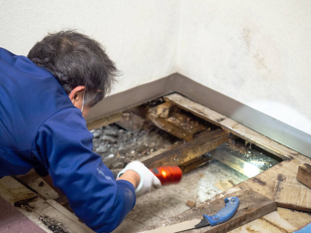Best Crawl Space Mold Removal  in Rockville, MD