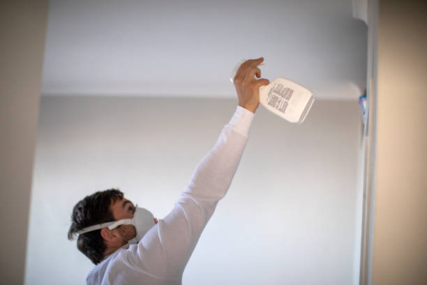 Mold Removal and Inspection in Rockville, MD